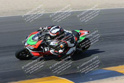 media/Feb-04-2023-SoCal Trackdays (Sat) [[8a776bf2c3]]/Turn 6 Inside (1025am)/